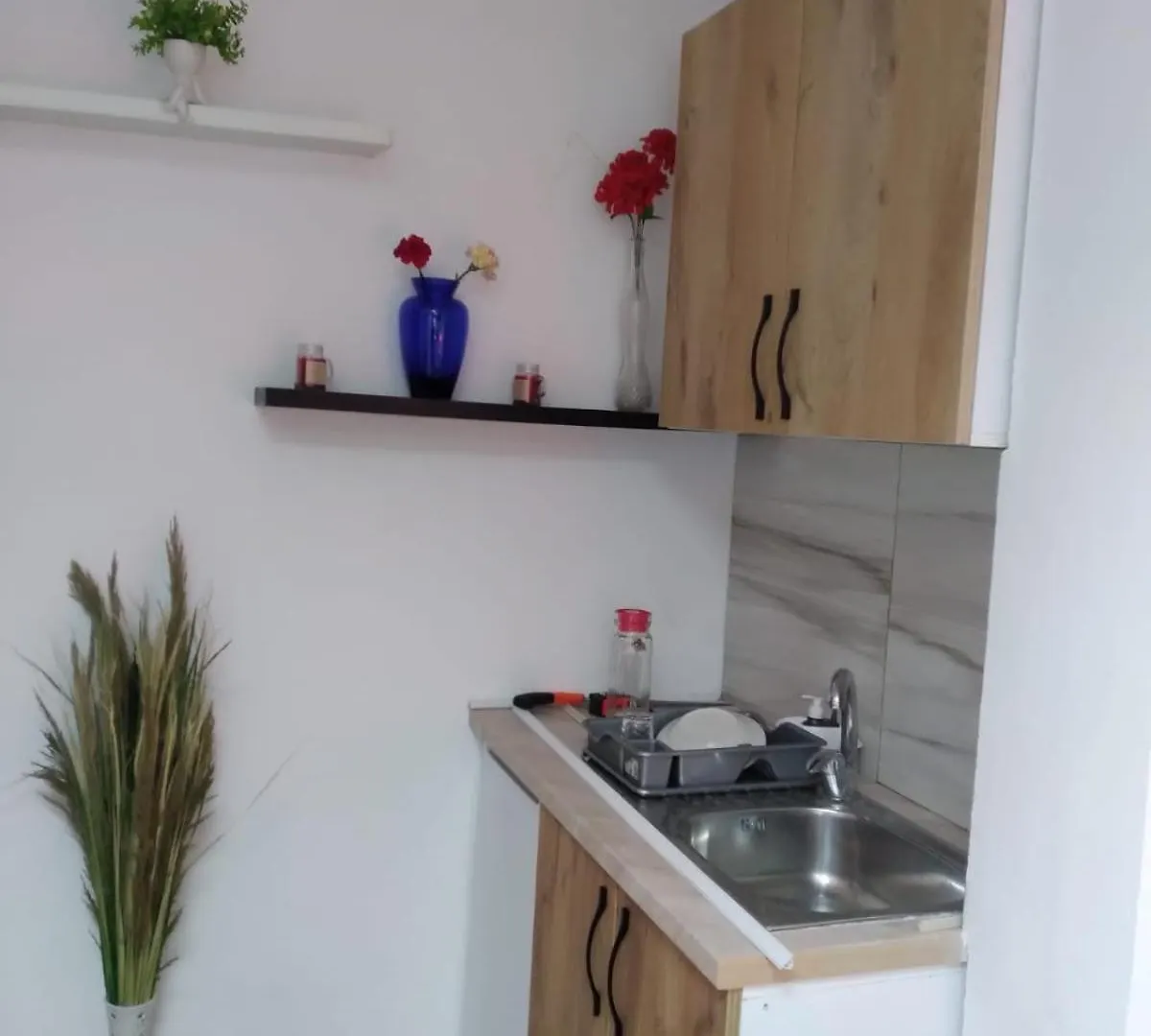 Oasis Studio Apartment In Tirana Near Bus Station