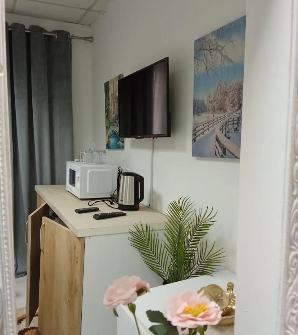 Oasis Studio Apartment In Tirana Near Bus Station